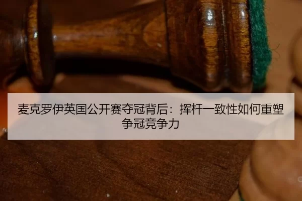 mai-ke-luo-yi-ying-guo-gong-kai-sai-duo-guan-bei-hou-hui-gan-yi-zhi-xing-ru-he-zhong-su-zheng-guan-jing-zheng-li-3-784.jpg